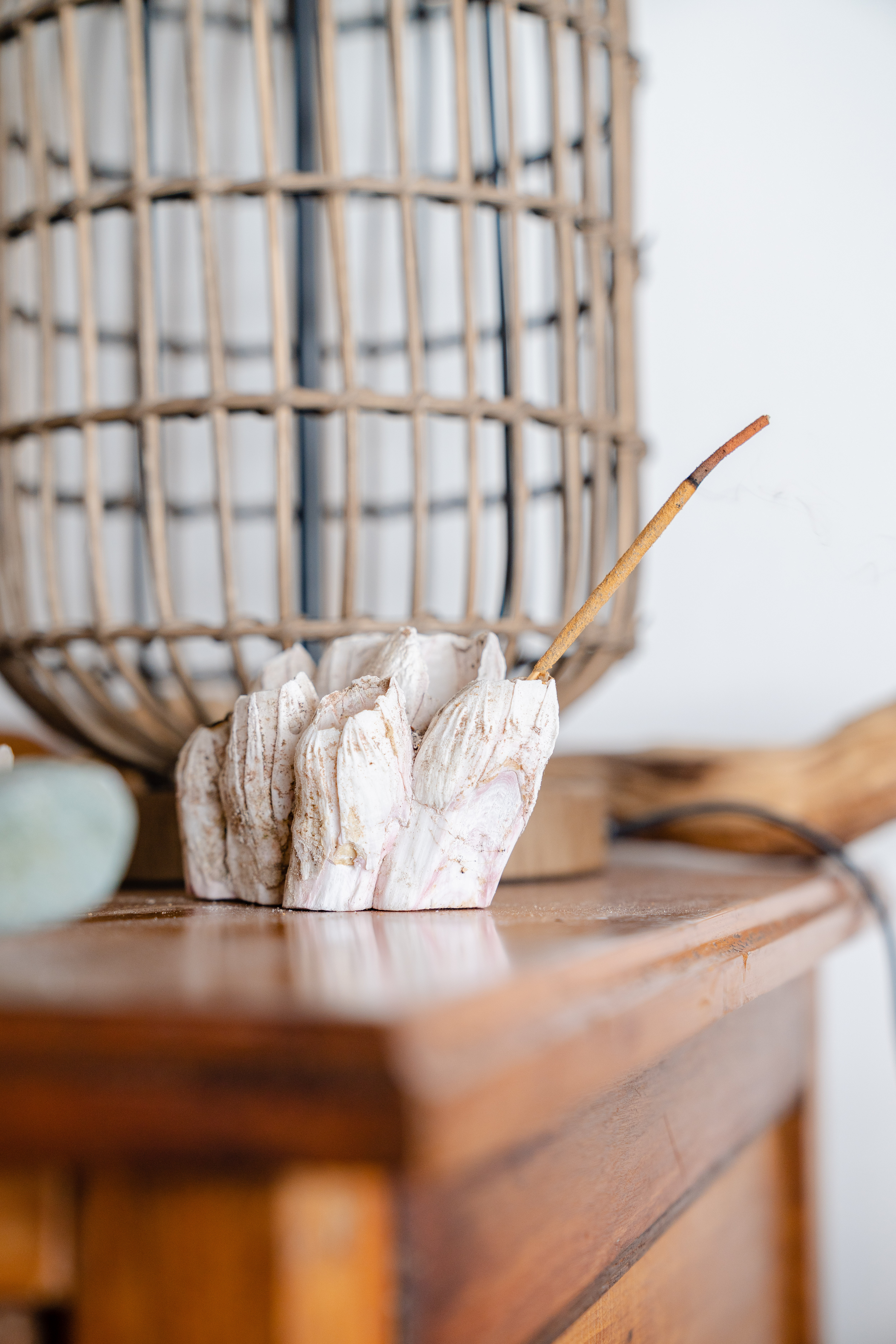 Hogar Magico Detalle